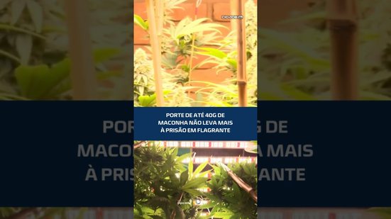 Veja o que muda com nova regra sobre porte de maconha #CidadeAL