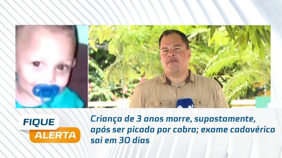 Criança de 3 anos morre, supostamente, após ser picada por cobra; exame cadavérico sai em 30 dias