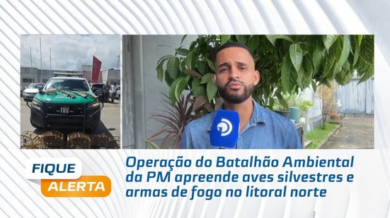 Operação do Batalhão Ambiental da PM apreende aves silvestres e armas de fogo no litoral norte