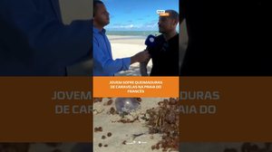 Atenção banhistas: caravelas causam queimaduras em Marechal #FiqueAlerta