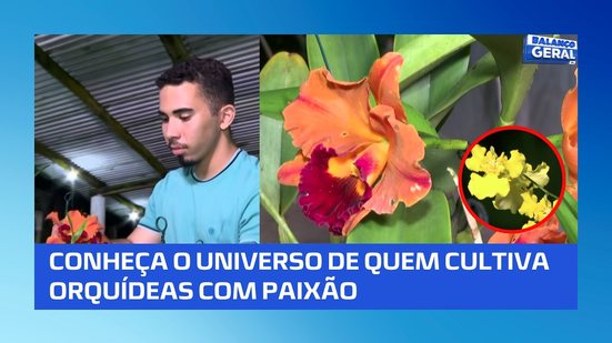 Dia do Orquidófilo: a paixão de quem dedica a vida às orquídeas