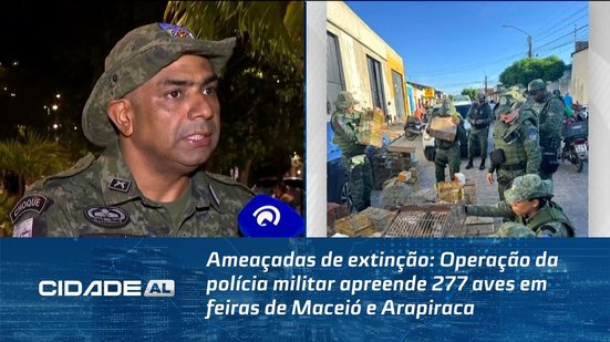 Ameaçadas de extinção: Operação da polícia militar apreende 277 aves em feiras de Maceió e Arapiraca