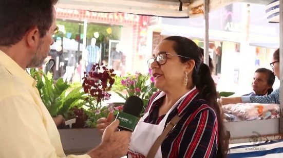 Cultivo de Flores em Mar Vermelho Alagoas e a Exportação no Agro Comercial