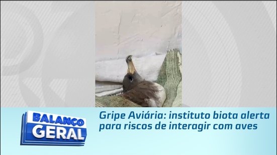 Gripe Aviária: instituto biota alerta para riscos de interagir com aves