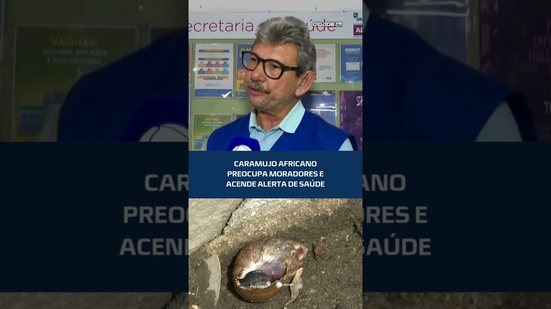 ⚠️Caramujo africano: saiba os riscos e como agir #CidadeAL