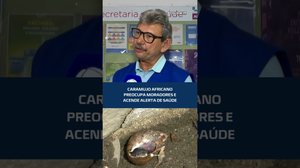 ⚠️Caramujo africano: saiba os riscos e como agir #CidadeAL