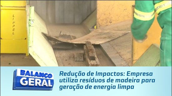 Redução de Impactos: Empresa utiliza resíduos de madeira para geração de energia limpa
