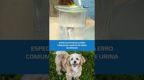 ATENÇÃO: água sanitária não é indicada para limpar xixi de pets #BalançoGeralAL