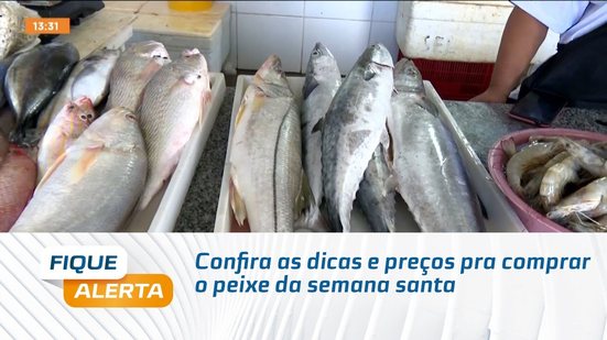Confira as dicas e preços pra comprar o peixe da semana santa