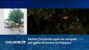 Mulher fica ferida após ser atingida por galho de árvore na Pajuçara
