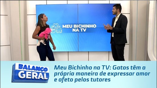 Meu Bichinho na TV: Gatos têm a própria maneira de expressar amor e afeto pelos tutores