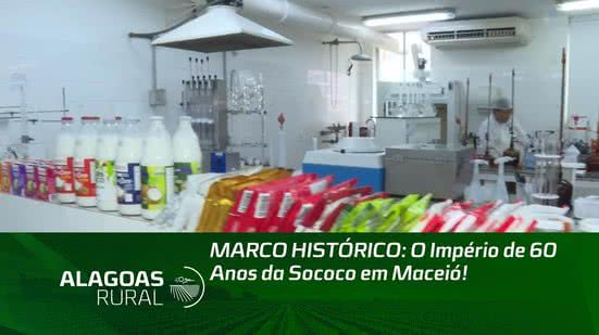 🥥 MARCO HISTÓRICO: O Império de 60 Anos da Sococo em Maceió!