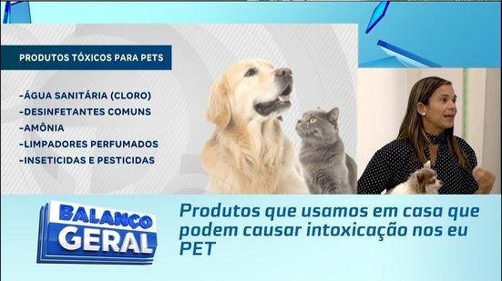 Produtos que usamos em casa que podem causar intoxicação nos eu PET