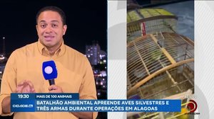 Fiscalizações em Alagoas resgatam mais de 100 animais silvestres e combatem a caça ilegal