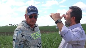 Microclima em União dos Palmares favorece alta produtividade de cana-de-açúcar