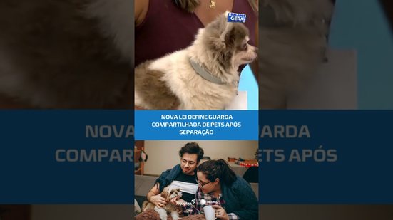 Veja como funciona a guarda compartilhada de pets #BalançoGeralAL