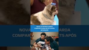 Veja como funciona a guarda compartilhada de pets #BalançoGeralAL