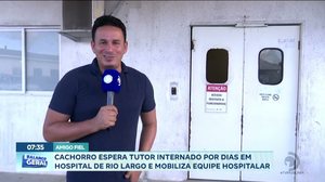 Cachorro espera tutor internado por dias em hospital de Rio Largo e mobiliza equipe hospitalar