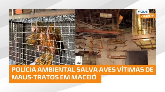 Batalhão de Polícia Ambiental resgata aves silvestres no Trapiche da Barra