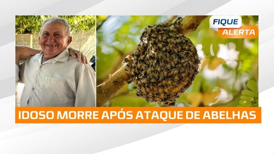 Tragédia em Junqueiro: Idoso morre após ataque de abelhas em mata