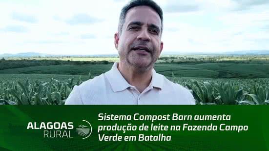 Sistema Compost Barn aumenta produção de leite na Fazenda Campo Verde em Batalha