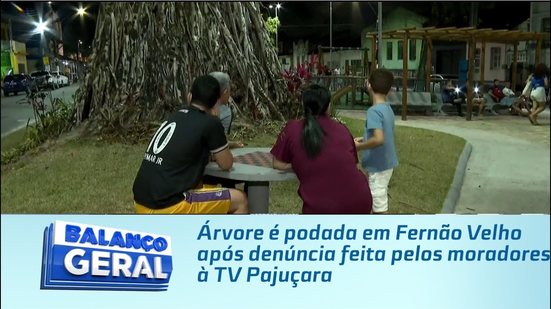 Árvore é podada em Fernão Velho após denúncia feita pelos moradores à TV Pajuçara