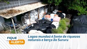 Lagoa mundaú é fonte de riquezas naturais e berço do Sururu