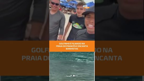Momento emocionante: professor de surf registra golfinho na Praia do Francês #FiqueAlerta