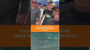 Momento emocionante: professor de surf registra golfinho na Praia do Francês #FiqueAlerta