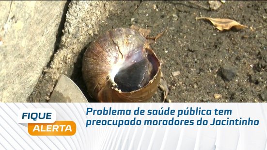 Problema de saúde pública tem preocupado moradores do Jacintinho