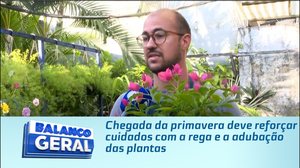 Chegada da primavera deve reforçar cuidados com a rega e a adubação das plantas
