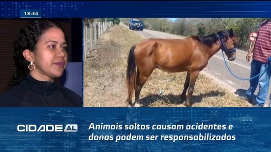 Perigo na Rodovia: Animais soltos causam acidentes e donos podem ser responsabilizados