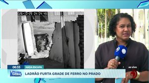 Ladrão furta grade de ferro do Prado