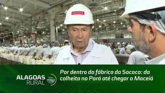Por dentro da fábrica da Sococo: da colheita no Pará até chegar a Maceió