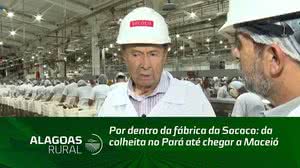 Por dentro da fábrica da Sococo: da colheita no Pará até chegar a Maceió
