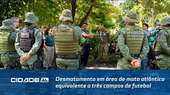 Desmatamento em área de mata atlântica equivalente a três campos de futebol é flagrado