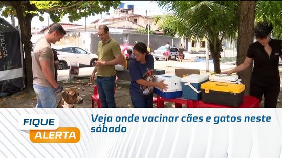 Veja onde vacinar cães e gatos neste sábado