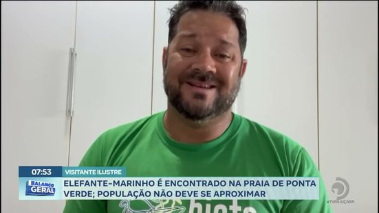Visitante ilustre: Elefante marinho é encontrado na praia de Ponta Verde