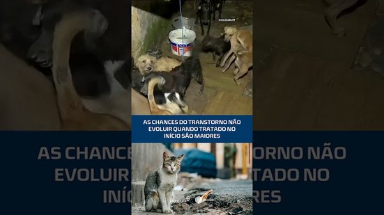 Autoridades e especialistas atuam juntos contra o acúmulo de animais em Alagoas #CidadeAL
