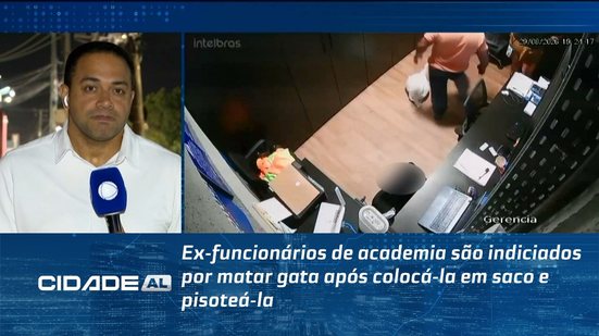 Ex-funcionários de academia são indiciados por matar gata após colocá-la em saco e pisoteá-la