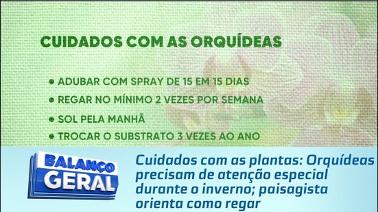 Orquídeas precisam de atenção especial durante o inverno; paisagista orienta como regar