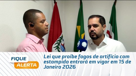 Lei que proíbe fogos de artifício com estampido entrará em vigor em 15 de Janeiro 2026