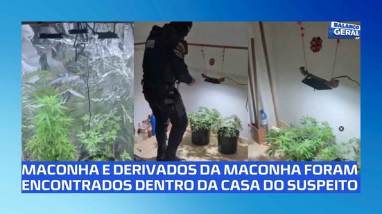 Estufa Artesanal de Maconha: Homem é preso por tráfico de drogas