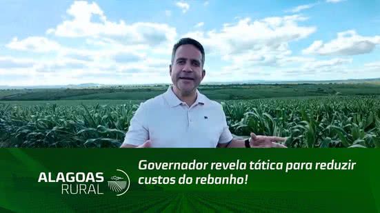 Governador revela tática para reduzir custos do rebanho!