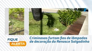 Criminosos furtam fios de lâmpadas de decoração do Renasce Salgadinho