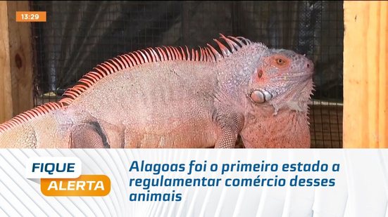 Alagoas foi o primeiro estado a regulamentar comércio desses animais