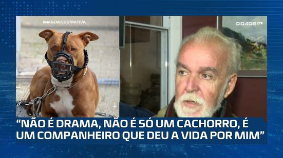 Pitbull ataca e mata outro cachorro em Marechal Deodoro; tutor ficou ferido