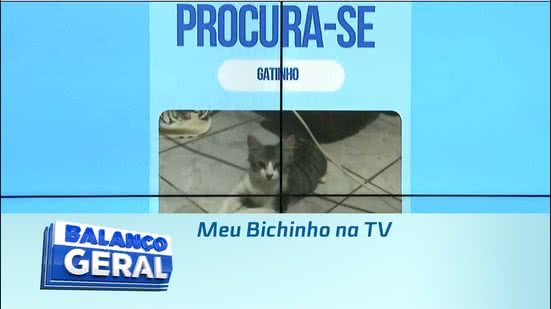 Meu Bichinho na TV
