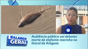 Audiência pública vai debater morte de elefante-marinho no litoral de Alagoas