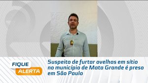 Suspeito de furtar ovelhas em sítio no município de Mata Grande é preso em São Paulo